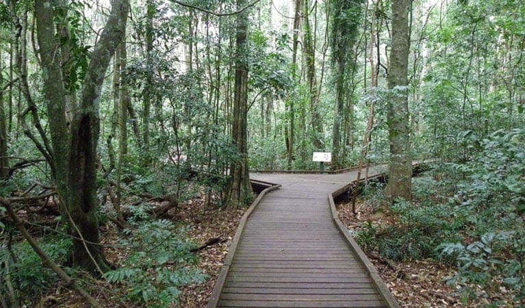 Victoria Park Boardwalk (400m) Victoria park boardwalk trail hiking australia