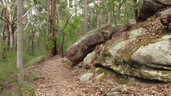 Graves Walk (1.5km) Graves walk (1. 5km)