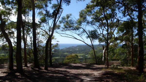 Kincumber to Terrigal - Glasson's Trail Walk (4.5km) Kincumber to terrigal - glasson's trail walk (4. 5km)