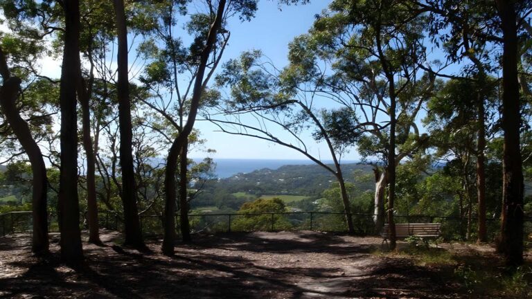 Kincumber to terrigal - glasson's trail walk (4. 5km)