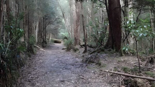 Mystery Creek Cave Trail Walk (2km) Mystery creek cave trail walk (2km)