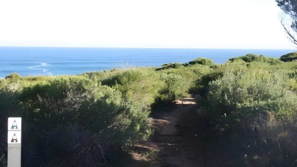 Quenda trail walk (4km)