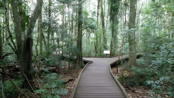 Victoria Park Boardwalk (400m) Victoria park boardwalk (400m)