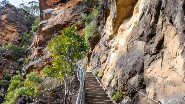 Wentworth Pass Loop Walking Track (5km) Wentworth pass loop walking track (5km)