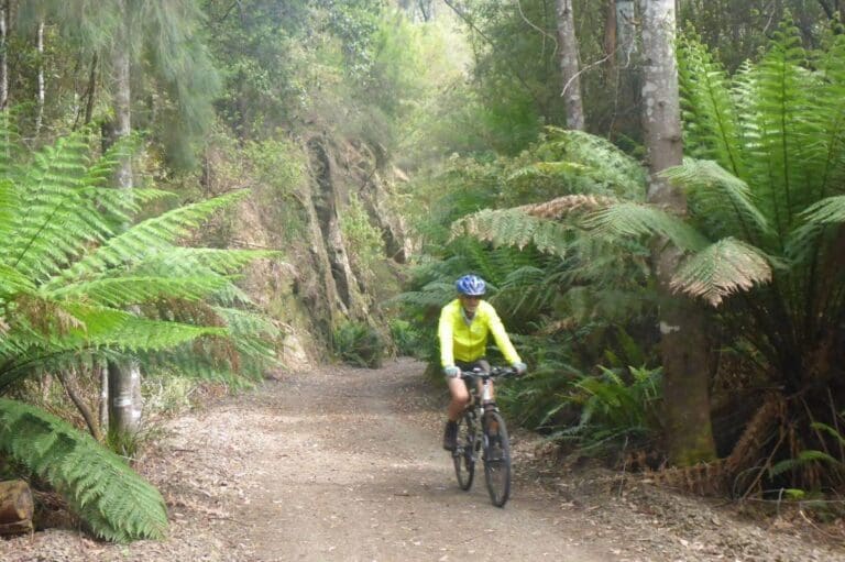 North east tasmania rail trail 768x511