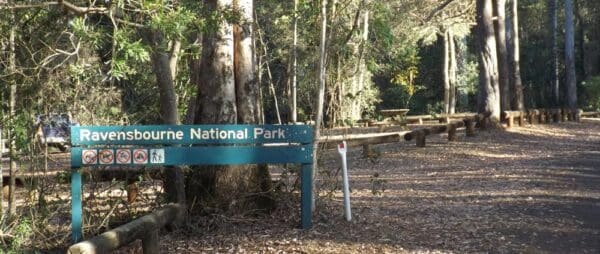 Hikes Ravensbourne rainforest circuit 600x254