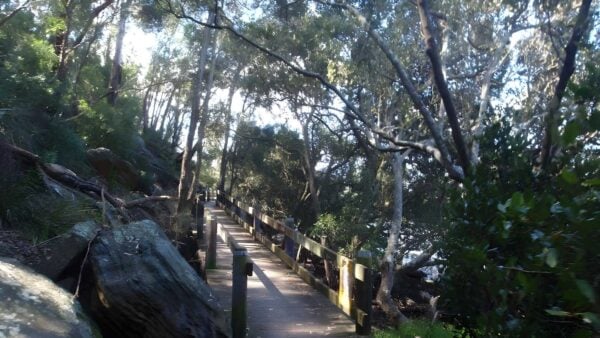 Alma Road to Padstow Along Salt Pan Creek Walk (2.8km) Alma road to padstow along salt pan creek walk (2. 8km)