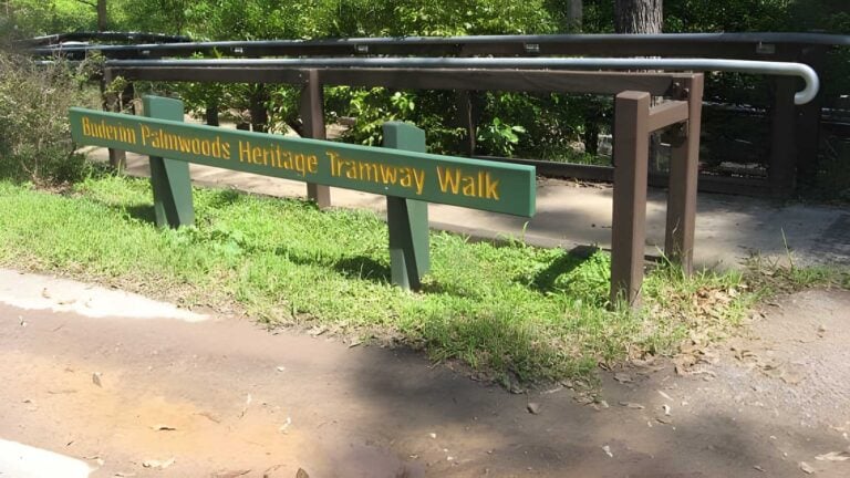 Buderim Tramway Heritage Trail Walk (2km) Buderim tramway heritage trail walk (2km)