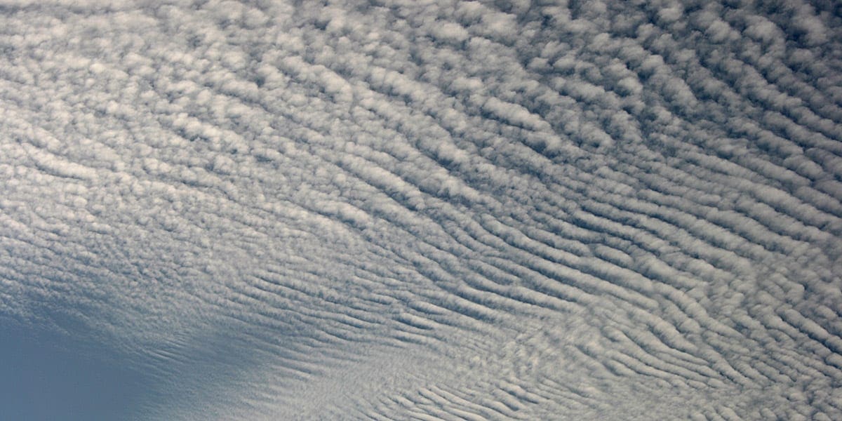 Altocumulus clouds