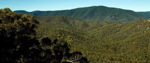 Rocky Peak & the Pinnacle Hike (7.7km) The pinnacle walking track trail hiking australia 600x254