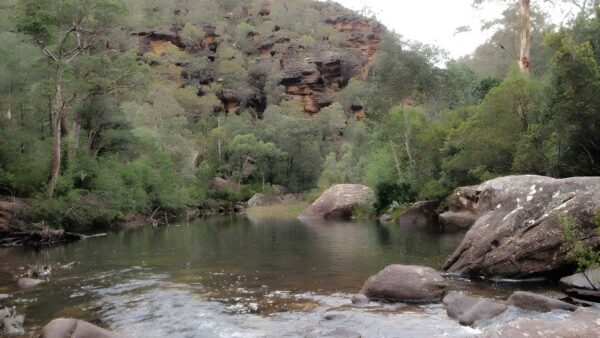 Jack evans track to erskine creek walk (2. 6km)