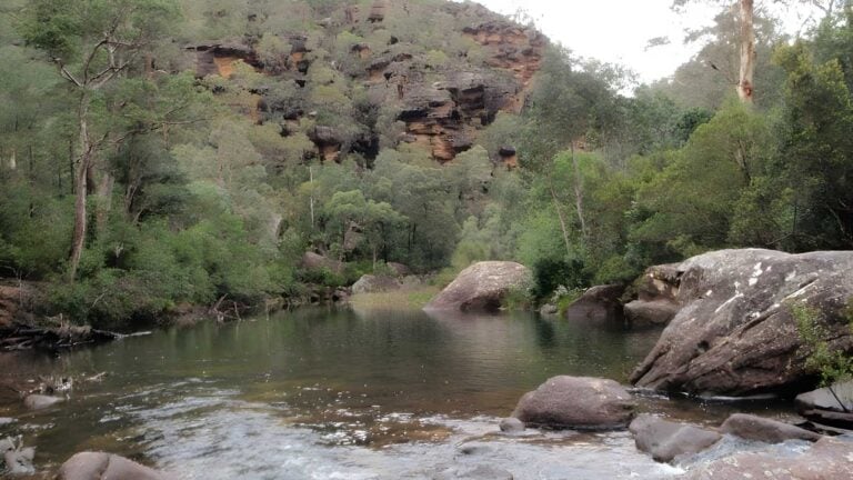 Jack evans track to erskine creek walk (2. 6km)