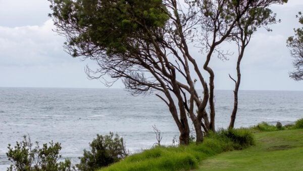 Little beach trail walk (1. 2km)