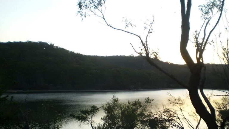 Manly Dam Circuit Walk (7.3km) Manly dam circuit walk (7. 3km)
