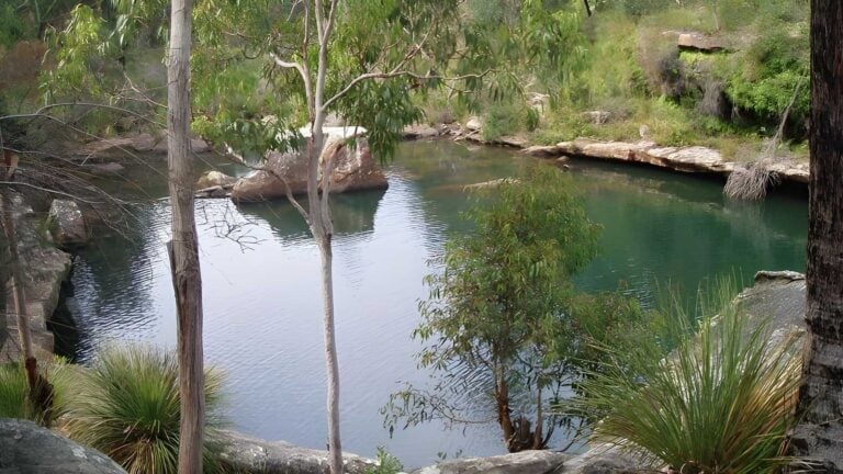 Minerva pool walking track (2. 4km)