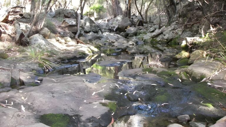 Waa Gorge Walking Track (2.5km) Waa gorge walking track (2. 5km)