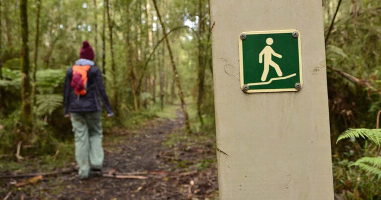 Choosing the right day pack
