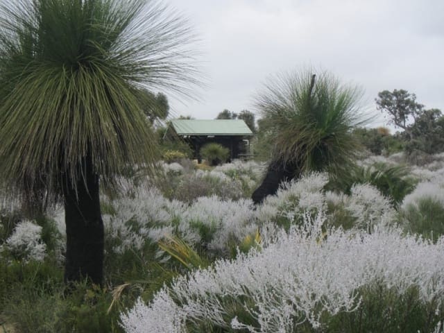 Coastal Plain Trail Walk (52km) Coastal plain walk trail