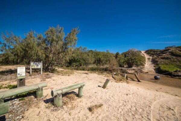 Creek to Coast Walk (24km) Freshwater creek track 1 600x400