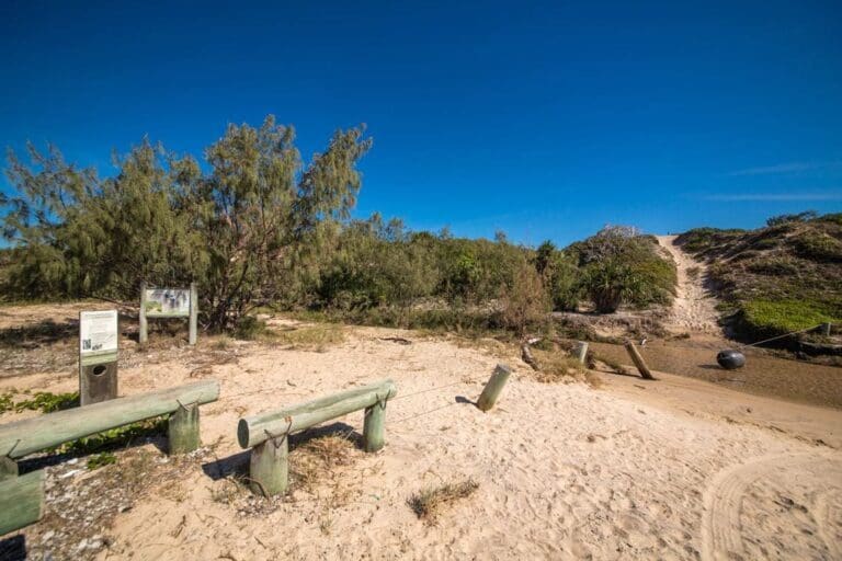 Freshwater creek track 1 768x512