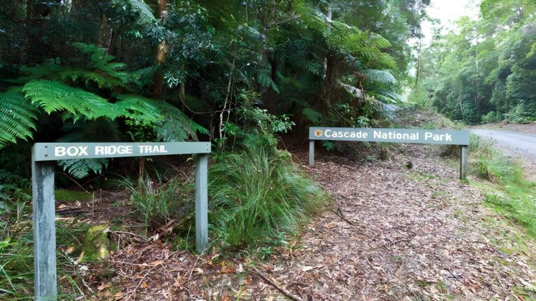 Box Ridge Walking Track (1.2km) Box ridge walking track (1. 2km)