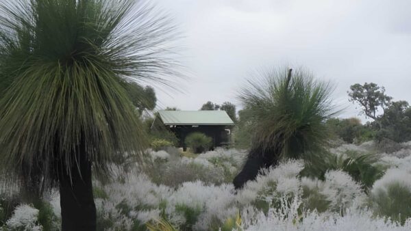 Coastal Plain Trail Walk (52km) Coastal plain trail walk (52km)