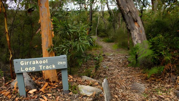 Girrakool loop track (2km)