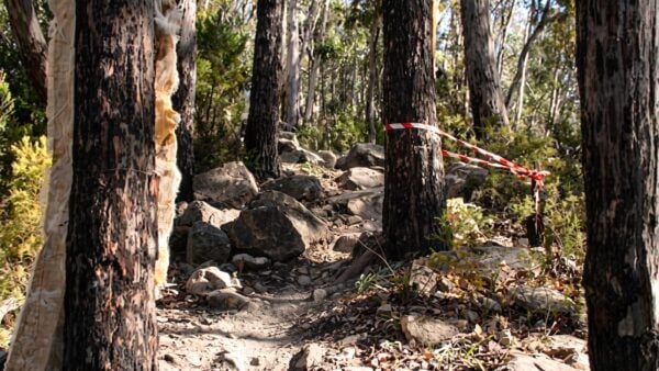 Glenorchy mountain bike park loop (6km)