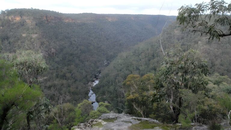Pisgah Rock Walk (1.6km) Pisgah rock walk (1. 6km)
