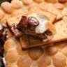 Ultimate s'mores recipes