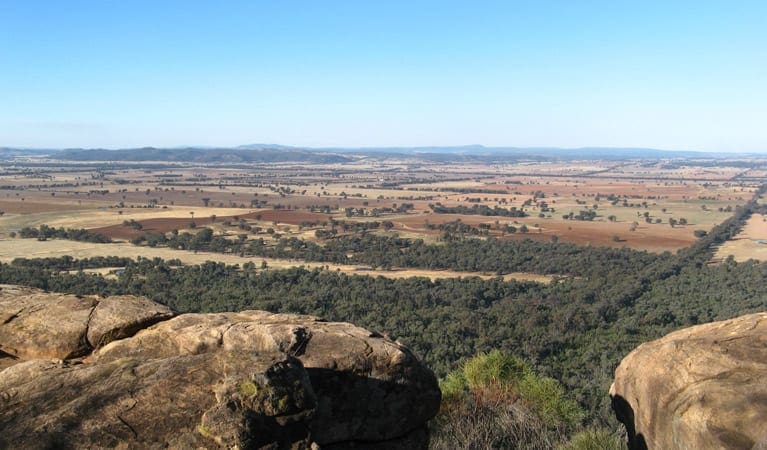 Basin Gully to Eualdrie Lookout Track (9km) Basin gully to eualdrie lookout track trail hiking australia