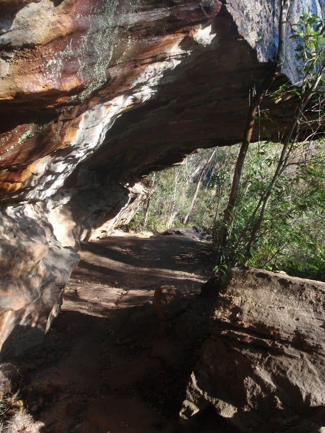 Mount Kuring-Gai to Calna Creek Hike (9.4km) Mt kuring gai to calna creek