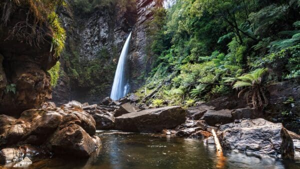 The Fourways Hike (12km) Reynolds falls 600x338