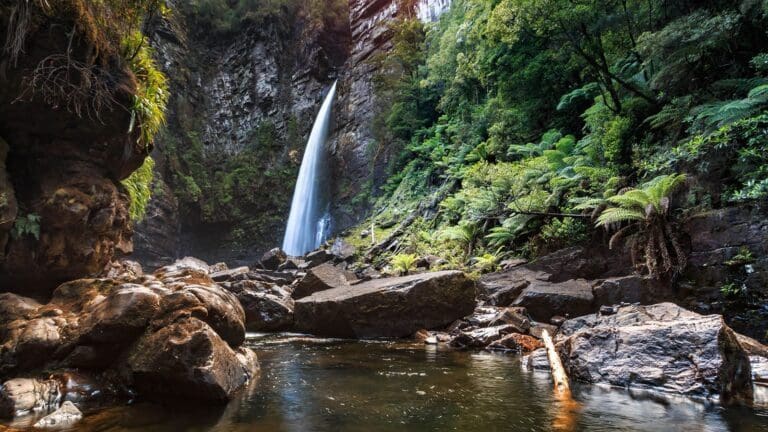 Reynolds falls 768x432