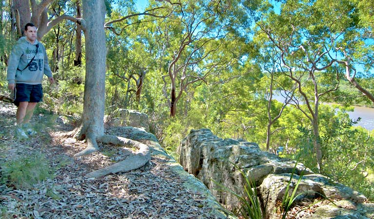 Ridge Walking Track (1.6km) Ridge walking track trail hiking australia