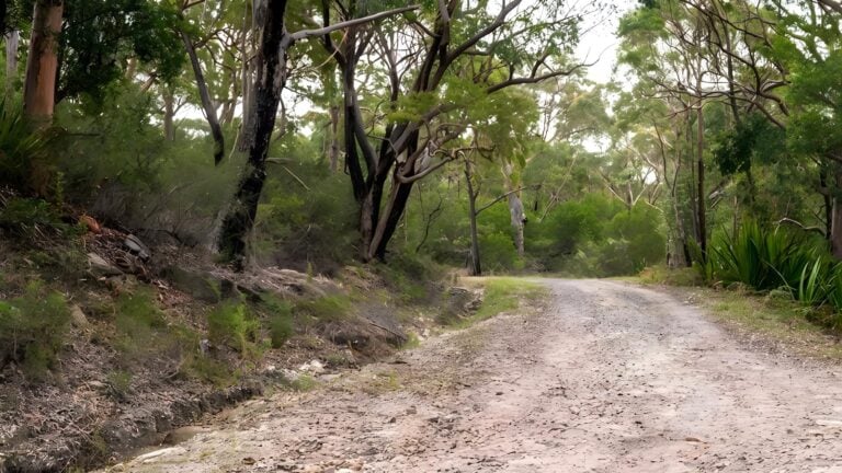 Cawleys road trail walk (2. 4km)