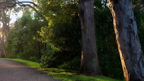 Hobart Rivulet Park Walk (5.5km) Hobart rivulet park walk (5. 5km)