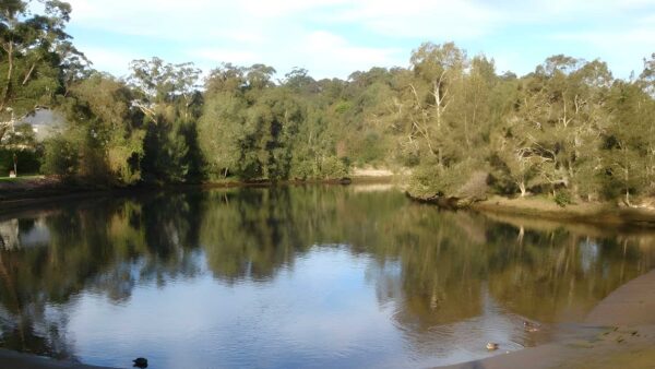 Lane Cove Tourist Park River Circuit Hike (12km) Lane cove tourist park river circuit hike (12km)