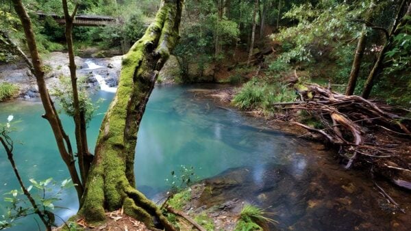 Mobong walking track (5km)