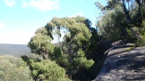 Woodford station to cliff lookout hike (8. 6km)