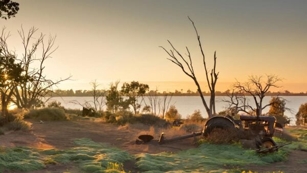 Yanga Lake Walking Track (1km) Yanga lake walking track (1km)