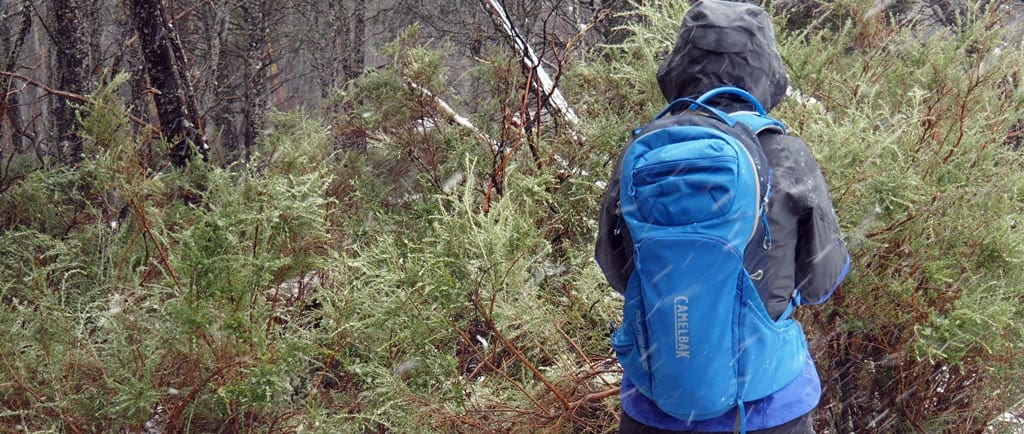 Camelbak fourteener 20 pack