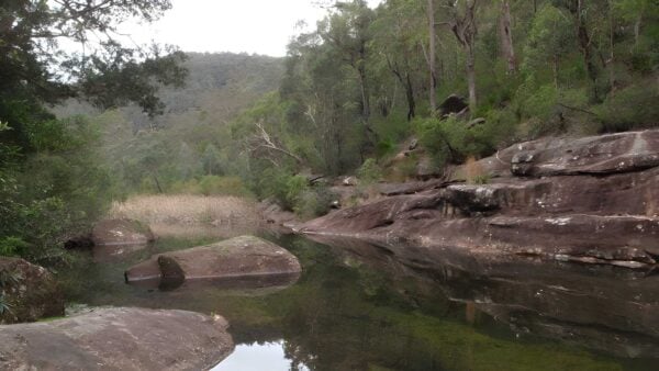 Martin's lookout loop walk (13. 8km)