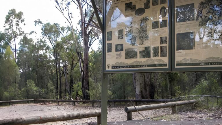Mill-bullah walking track (1km)