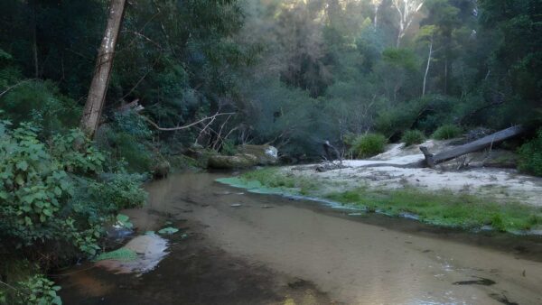 Popran creek from peats ridge road walk (2. 5km)