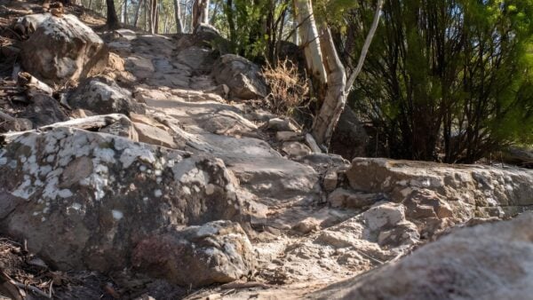 Tip top track (2. 5km)