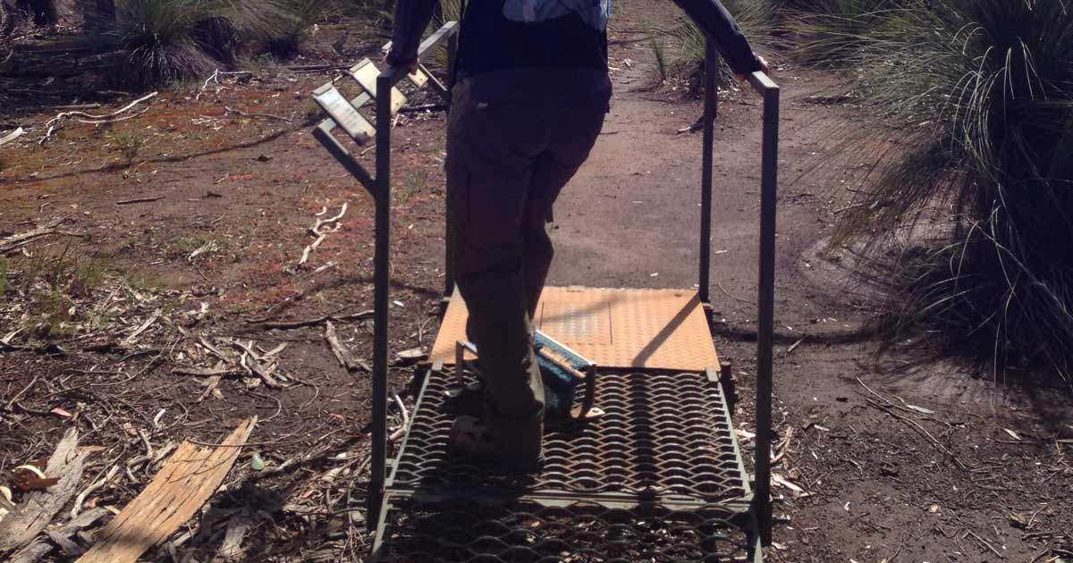 Phytophthora cinnamomi cleaning station