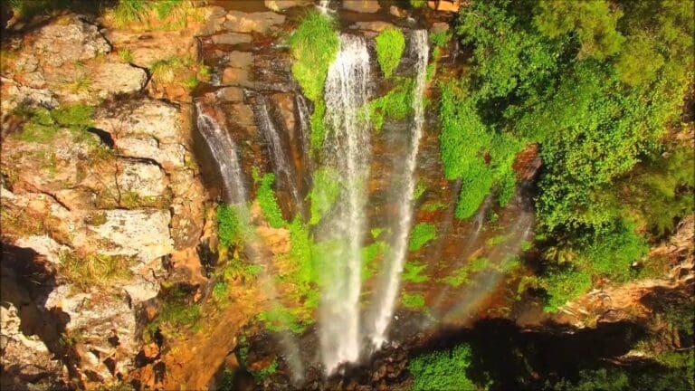 Queen mary falls circuit 768x432