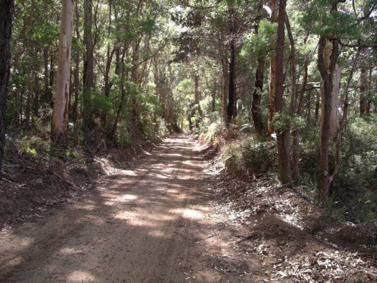Torbay to Elleker Rail Trail (8km) Torbay to elleker rail trail 768x576