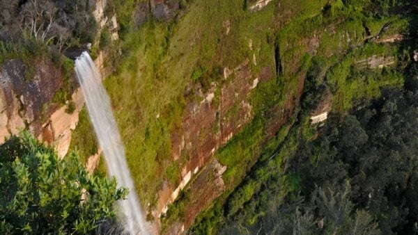 Cliff Top Walking Track (6km) Cliff top walking track (6km)